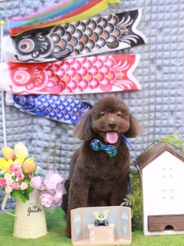 20230507杏ちゃん